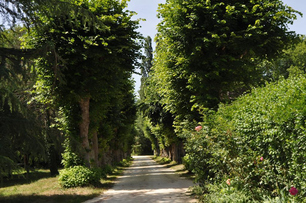Les Longchamps Bed & Breakfast Neuillé Exterior foto